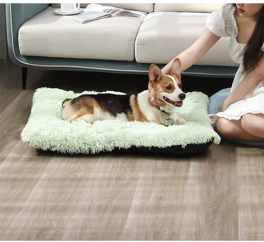 Paw - Soft Mat