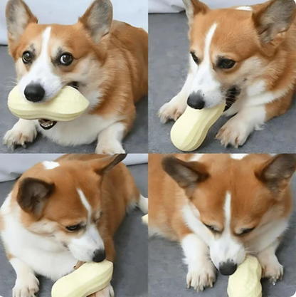 Tooth - Cleaning Chew Toy for Dogs In Peanut Design