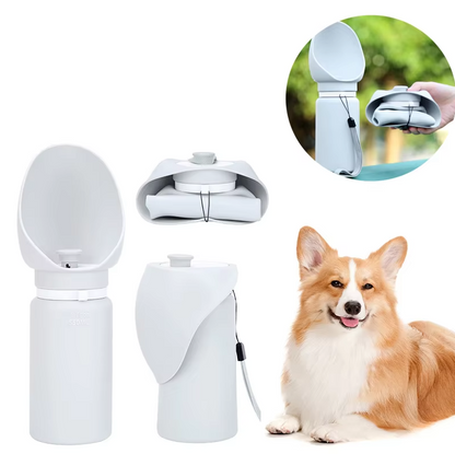 Travel Water Bottle With Fold - Out Bowl