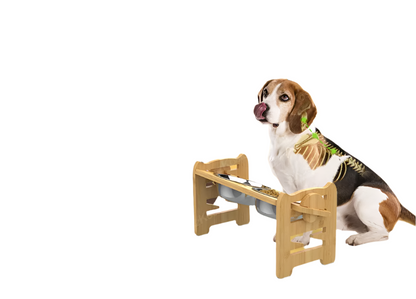 Elevated Feeding Station For Pets  Bowls