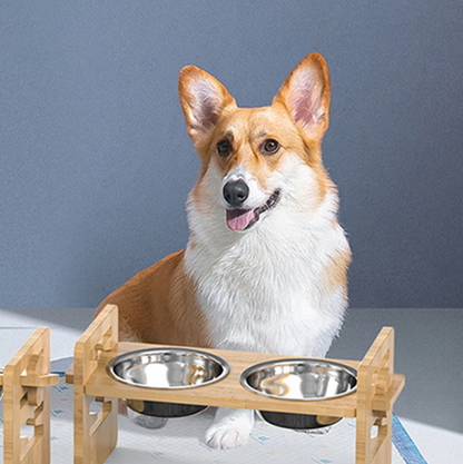 Elevated Feeding Station For Pets  Bowls