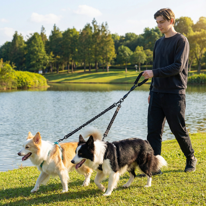 2-in-1 Double Dog Lead with 360° Swivel – Tangle-Free & Shock-Absorbing