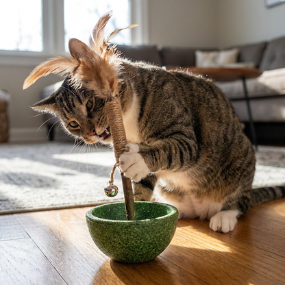 Teeth Cleaning Catnip Tumbler Cat Toy – Interactive Feather Teaser with Bell