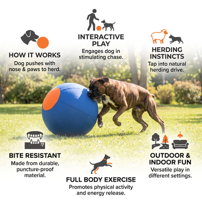 Inflatable Bite Resistant Herding Ball for Dogs – Durable Interactive Push & Chase Toy