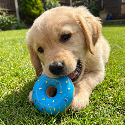 Colorful Squeaky Donut Dog Toy
