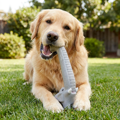 XXL Durable Teeth Cleaning Latex Dog Toy