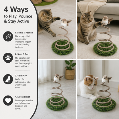 Interactive Spring Bird Cat Toy with Grass Base