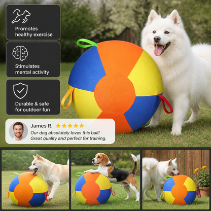 Interactive Colorful Herding Ball with Handles for Dogs – Durable Outdoor Training Toy