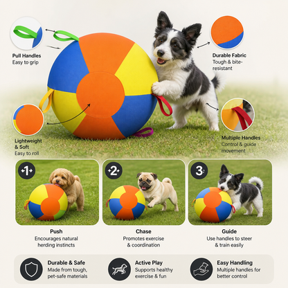 Interactive Colorful Herding Ball with Handles for Dogs – Durable Outdoor Training Toy