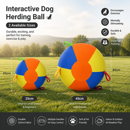 Interactive Colorful Herding Ball with Handles for Dogs – Durable Outdoor Training Toy