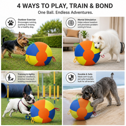 Interactive Colorful Herding Ball with Handles for Dogs – Durable Outdoor Training Toy