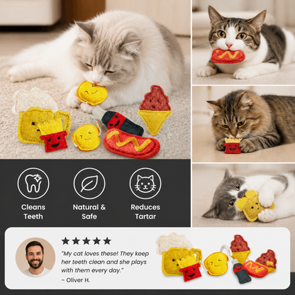 Teeth-Cleaning Catnip Chew Toys – Natural Loofah Dental Care & Play Set