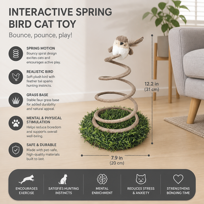 Interactive Spring Bird Cat Toy with Grass Base