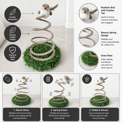 Interactive Spring Bird Cat Toy with Grass Base