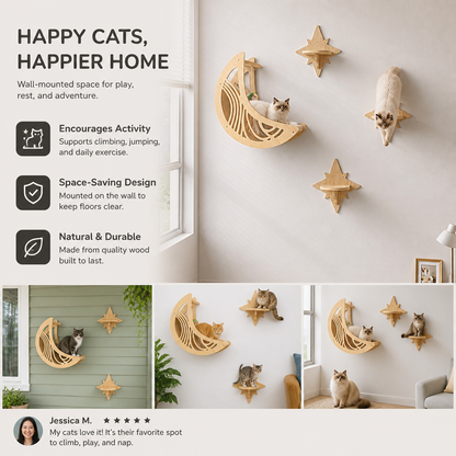 Modern Wooden Moon & Star Wall-Mounted Cat Climbing Shelves & Bed Set