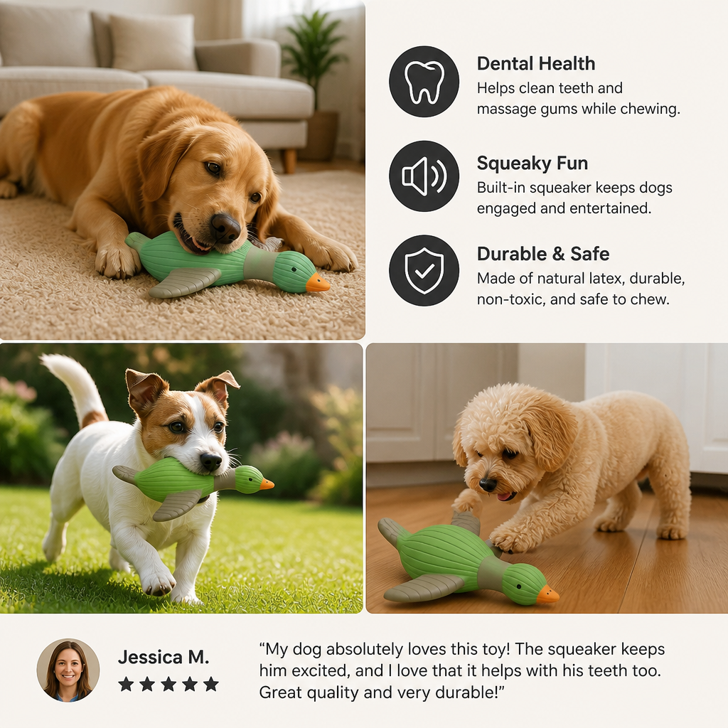 Interactive Chew & Squeak Animal Dog Toy