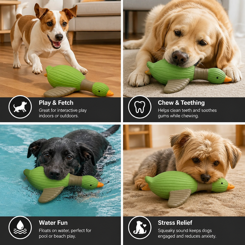 Interactive Chew & Squeak Animal Dog Toy