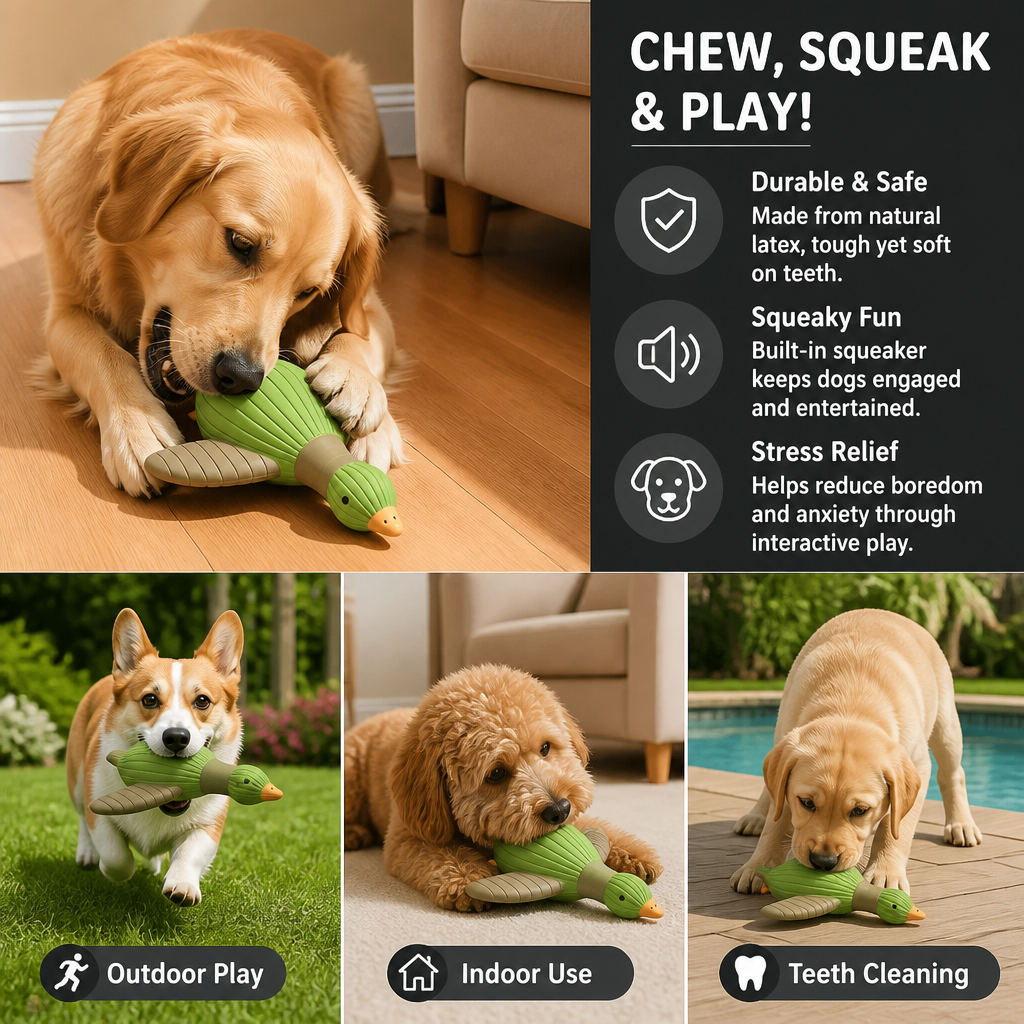 Interactive Chew & Squeak Animal Dog Toy