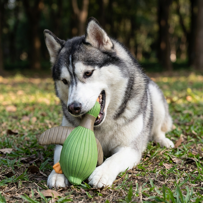 Interactive Chew & Squeak Animal Dog Toy