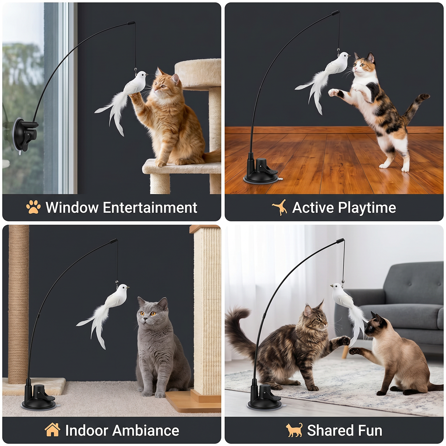 Bird Game - Interactive Cat Toy