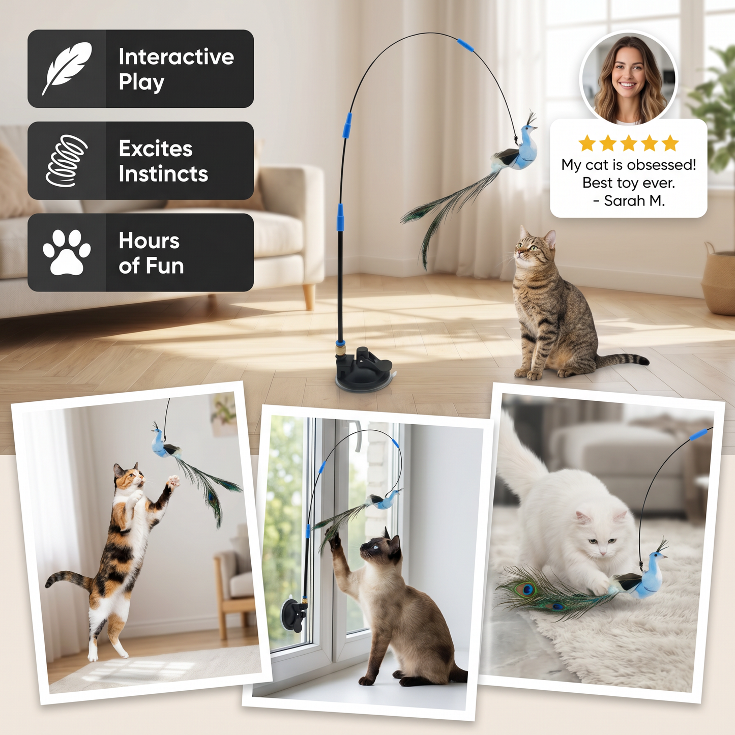 Bird Game - Interactive Cat Toy