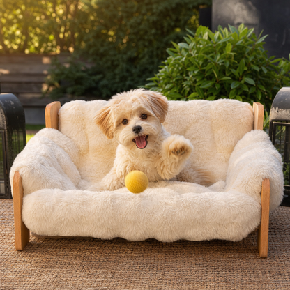 Luxury Elevated Solid Wood Dog Couch Bed