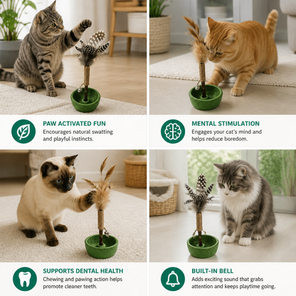 Teeth Cleaning Catnip Tumbler Cat Toy – Interactive Feather Teaser with Bell