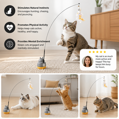 360° Interactive Self-Play Cat Teaser