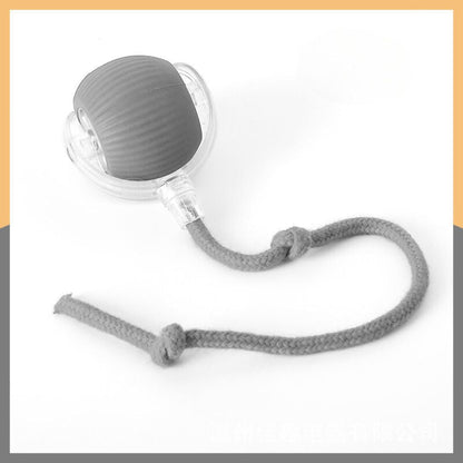 Interactive Play Ball With Tail