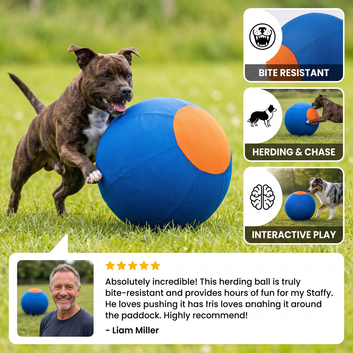 Inflatable Bite Resistant Herding Ball for Dogs – Durable Interactive Push & Chase Toy