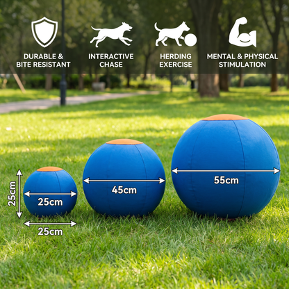 Inflatable Bite Resistant Herding Ball for Dogs – Durable Interactive Push & Chase Toy