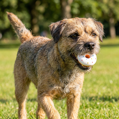 Colorful Squeaky Donut Dog Toy