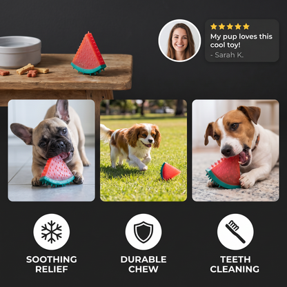 Cooling Fruit Dog Chew Toy
