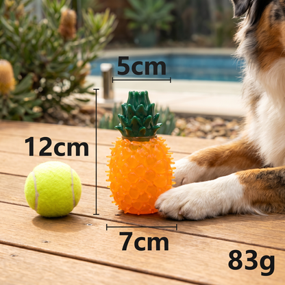 Cooling Fruit Dog Chew Toy
