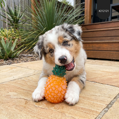 Cooling Fruit Dog Chew Toy