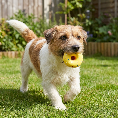 Colorful Squeaky Donut Dog Toy